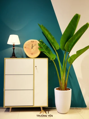 MẪU TỦ GIÀY 003